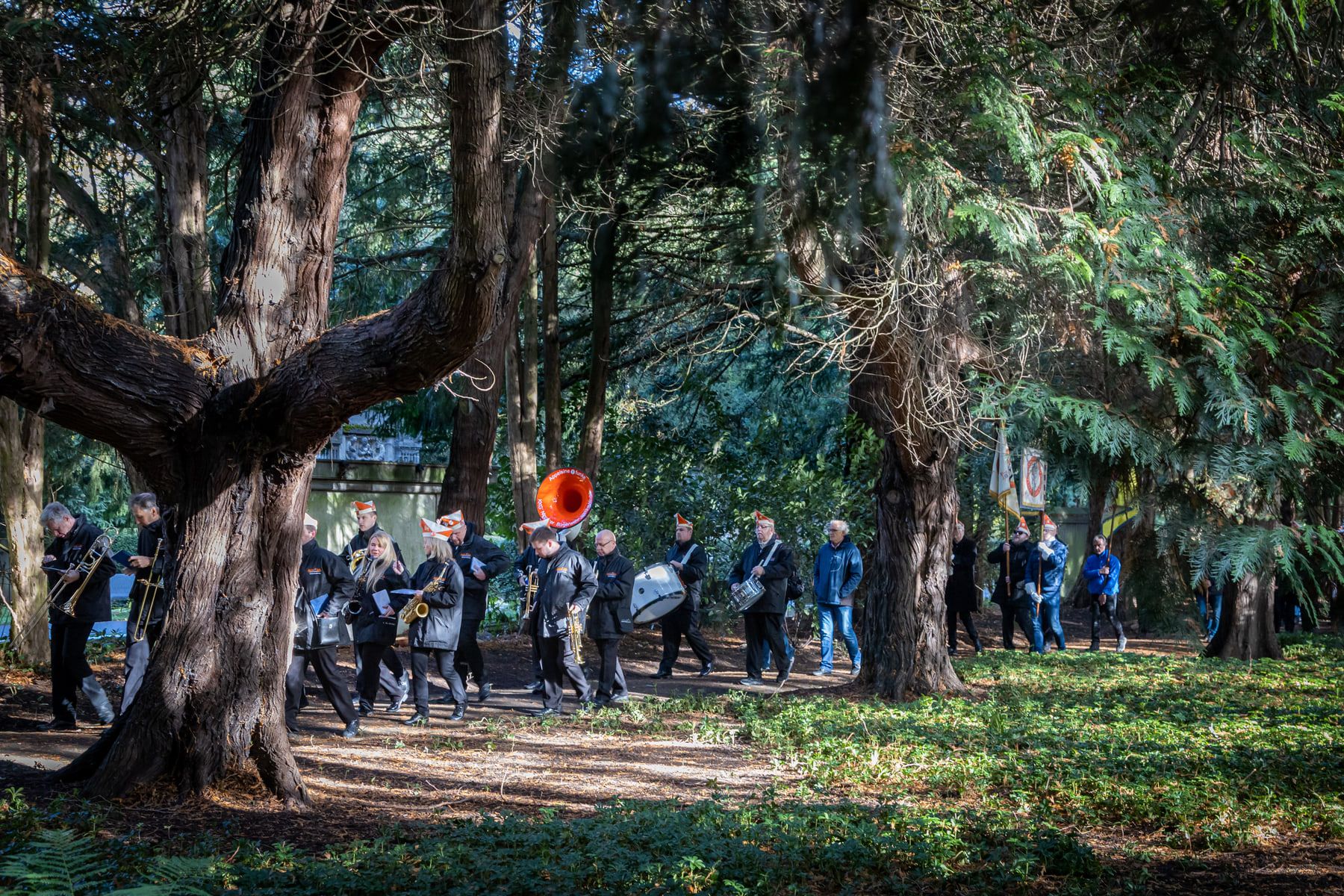 Musikkorps und Fahnenträger der Nippeser Bürgerwehr bei einem Zug zwischen mächtigen alten Nadelbäumen auf Nordfriedhof Köln